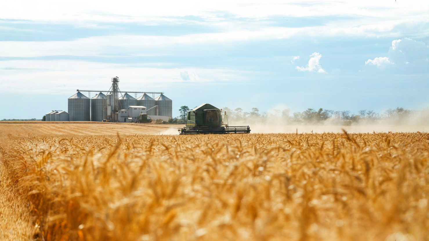 Продажа зерновых