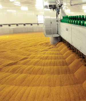 Отгрузка напрямую с солодовен